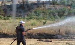 Siirt'te korkutan yangın: 85 dönümlük alan zarar gördü