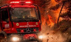 Sinop'ta 2 ilçeye yüksek yangın riski uyarısı