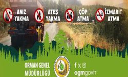 Sinop'ta 3 ilçeye yangın riski uyarısı