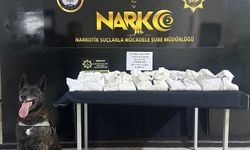 Şırnak'ta 7 kilogram uyuşturucu madde ele geçirildi
