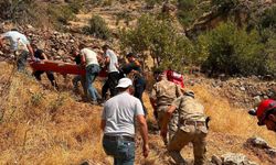 Şırnak'ta ağaçtan düşen vatandaş için ekipler seferber oldu