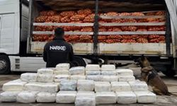 Soğan yüklü tırdan 150 kilo metamfetamin çıktı: 2 gözaltı