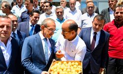 Vali Yavuz, Pütürge'de yatırımları yerinde inceledi