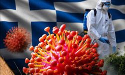 Yunanistan alarma geçti: Batı Nil virüsü vakalarında artış