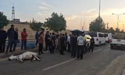 Batman'da seyir halindeki ticari aracın çarptığı eşek telef oldu