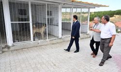 Battalgazi'nin ikinci hayvan barınağı hizmetini sürdürüyor