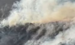Bingöl'de orman yangını kontrol altına alındı