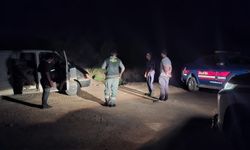 Bozyazı'da usulsüz orman emvali alan şahıslar yakalandı