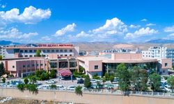 Cizre'de akrabalar arasındaki arazi kavgasında 6 kişi yaralandı