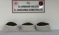 Diyarbakır'da aranan 86 kişi yakalandı