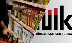 Ekonomik güven endeksi eylülde yüzde 0,7 artarak 101,3 oldu