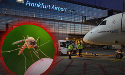 Frankfurt Havalimanı'nda sıtma alarmı
