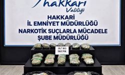 Hakkari'de 10 kilogram skunk ele geçirildi: 9 tutuklama