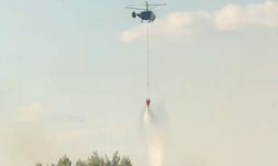 Hatay Dörtyol'da orman yangını