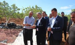HÜDA PAR Milletvekili Demir: Fıstık piyasasının denetim mekanizmasına ihtiyacı var