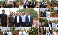 HÜDA PAR Milletvekili Demir: Fıstık üreticisinin ayakta kalabilmesi için acil müdahale gerekiyor