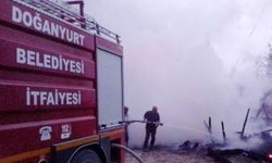 Kastamonu'da ahşap ev ve ahır alev aldı: Hayvanlar telef oldu