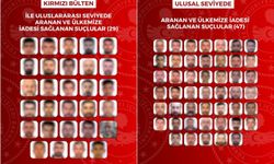 Kırmızı bültenle aranan 29, ulusal seviyede aranan 47 kişi Türkiye'ye getirildi