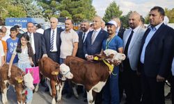 Malatya'da 'En Güzel Buzağı' yarışması düzenlendi