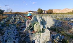 Malatya'da üretiliyor, Türkiye'nin dört bir yanına gönderiliyor