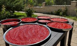 Malatya'da yazın bereketi kış sofraları için hazırlanıyor