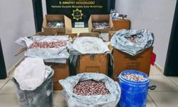Mersin'de 298 bin 182 sentetik ecza hapı ele geçirildi
