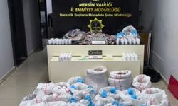 Mersin'de minibüsten 256 bin 900 sentetik ecza hapı çıktı: 2 tutuklama