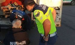 Sakarya'da 2,2 ton midye ve 156 küçükbaş hayvana el konuldu