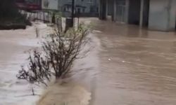Sakarya'da sağanak felaketi