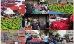 Şanlıurfa'da isot telaşı başladı: Damlar kırmızıya büründü