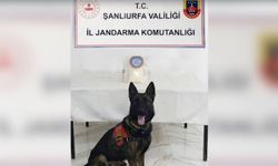 Şanlıurfa'da uyuşturucu operasyonu: Bir kilogram metamfetamin ele geçirildi
