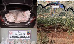 Siirt'te 300 kilo fıstık çalan hırsızlar yakalandı
