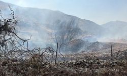 Siirt'te Zarova'da yangın: Ekipler alevlere müdahale ediyor
