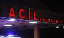 Van'da kamyon ile minibüs çarpıştı: 13 yaralı