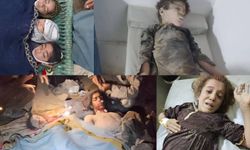 Afganistan, Pakistan'ın ölümcül saldırılarını kınadı