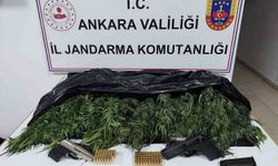 Ankara'da 2 kilo 600 gram skunk ele geçirildi: 1 gözaltı