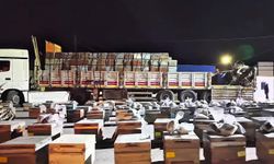 Arı kovanlarının arasına gizlenmiş 91,1 kilo uyuşturucu ele geçirildi