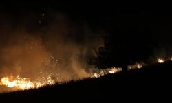 Bursa'da orman yangını