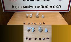 Kahramanmaraş'ta bonzai ve uyuşturucu ham maddesi ele geçirildi