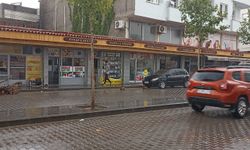 Çınar'da temmuz ayında yağmur hem şaşırttı hem de serinletti