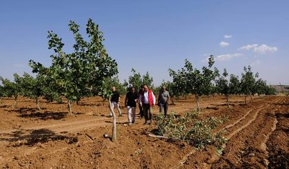 Şanlıurfa’da hasar tespit çalışması başladı!