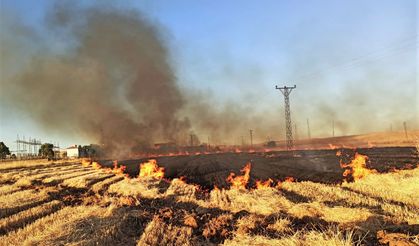 Şanlıurfa'da 16 mahalle elektriksiz kaldı
