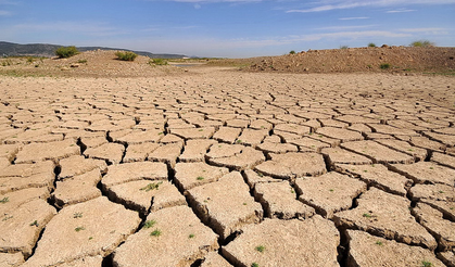 ŞANLIURFA'DA TOPRAK SUSUZ: ÇİFTÇİLER ÇARESİZ
