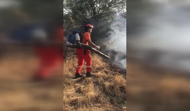 Diyarbakır-Lice'de çıkan orman yangını söndürüldü