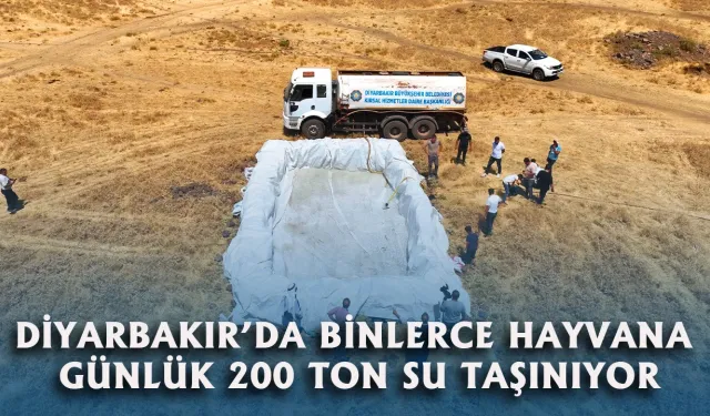 Diyarbakır'da Mera ve Yaylalara 200 Ton Su Taşınıyor