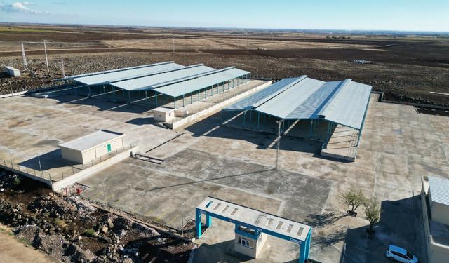 Şanlıurfa Büyükşehir Belediyesi, Viranşehir'e Modern Canlı Hayvan Pazarı Kazandırıyor