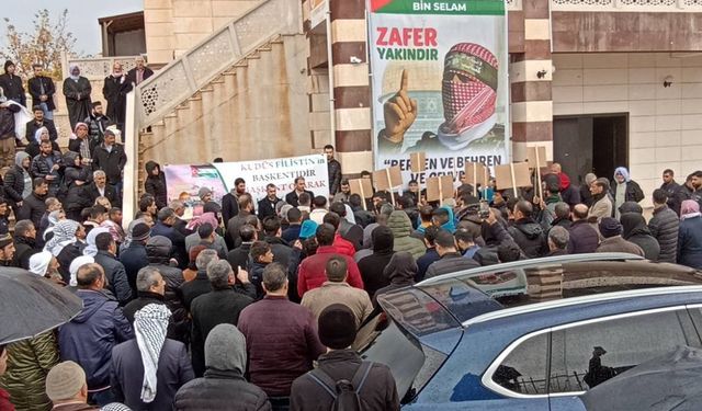 Viranşehir’de Filistin’e destek eylemi