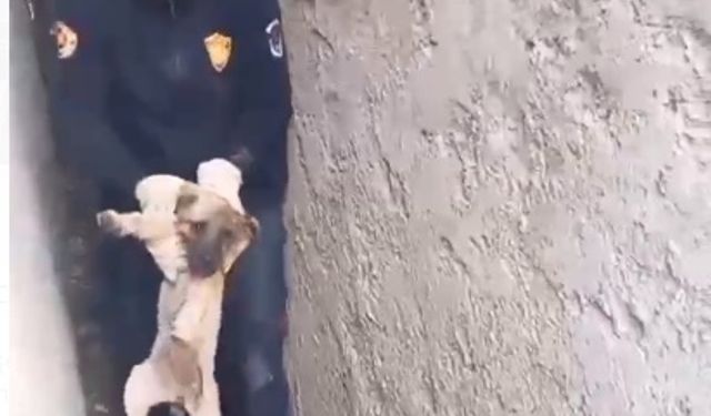 Viranşehir’de iki duvarın arasına sıkışan köpeği itfaiye kurtardı