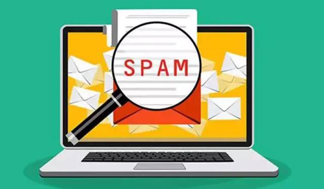 Spam Ne Demek?