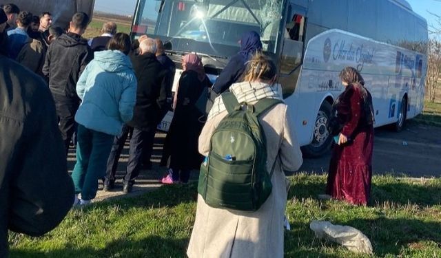 Viranşehir’de yolcu otobüsü kontrolden çıktı!